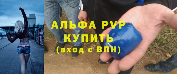 ешки Арсеньев