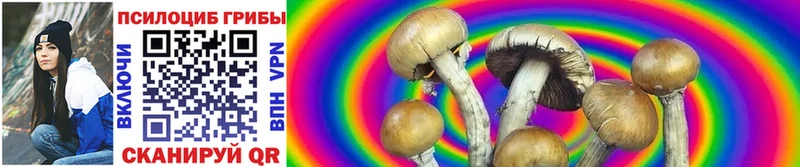 мега зеркало  Асино  Галлюциногенные грибы Psilocybe 