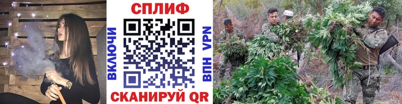 Конопля AK-47 Асино
